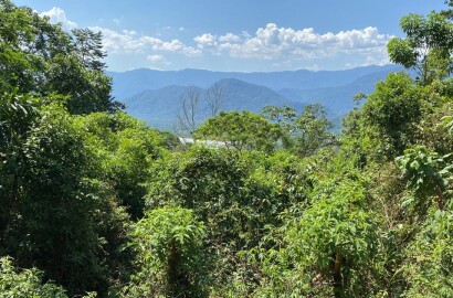 Área na Praia da Almada