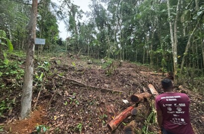 Praia do Felix Terreno com licenciamento ambiental