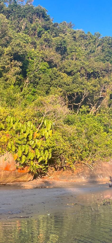 Terreno Rua 17 - lado mar - Praia de Itamambuca